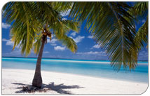 Tourism Papua New Guinea select RéserveGroup's évoSuite enterprise™ and CRM